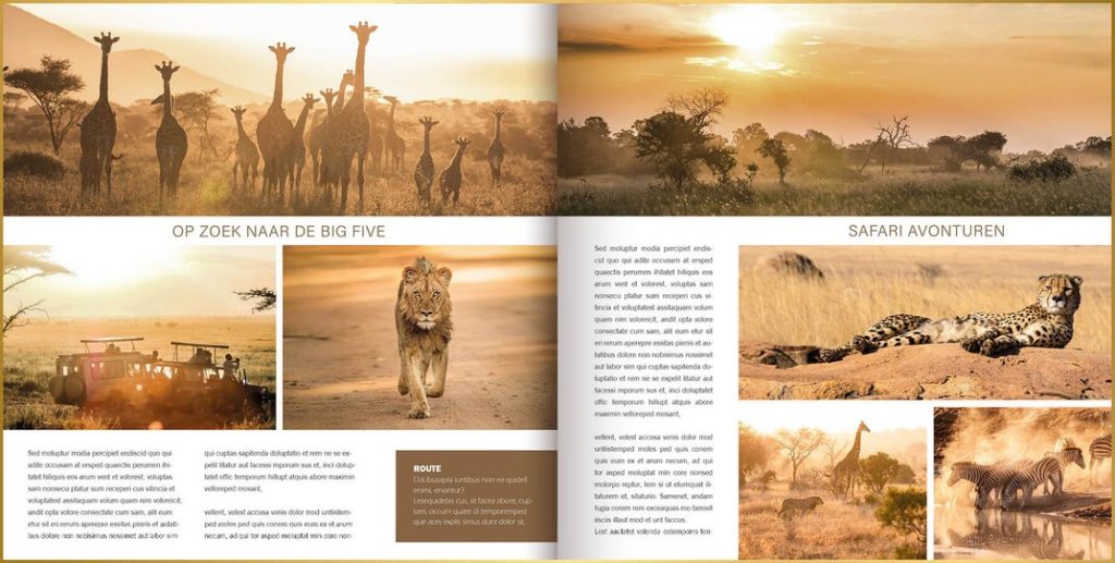 Fotoboek opgemaakt in ontwerpstijl Magazine met foto's van cheeta, leeuw, zebra's, giraffen, en olifant.