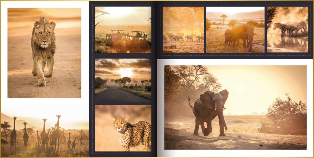 Fotoboek opgemaakt in ontwerpstijl Square met foto's van cheeta, leeuw, zebra's, giraffen, en olifant.