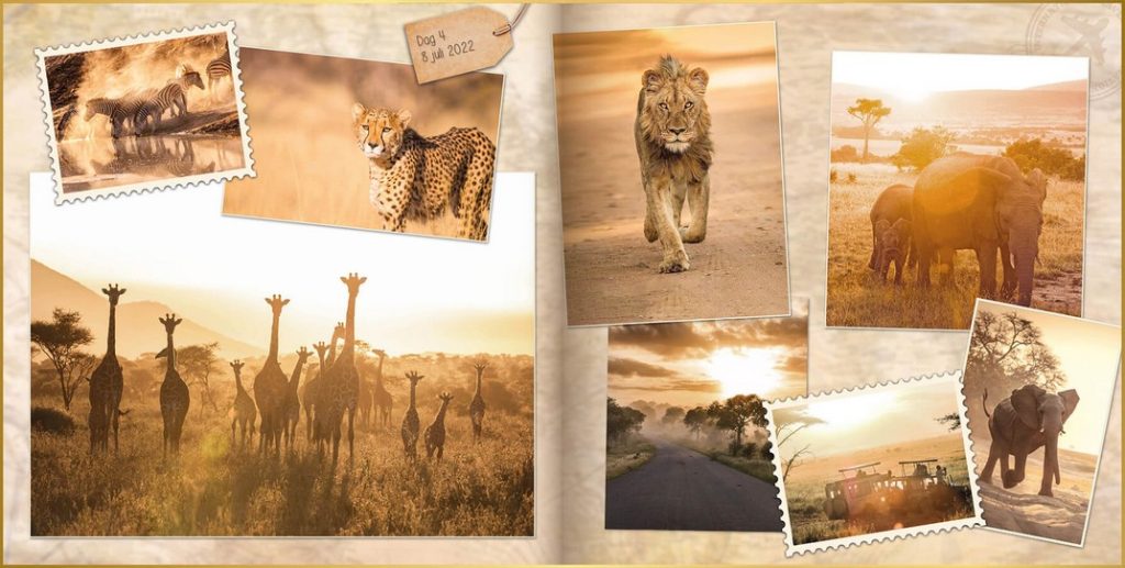 Fotoboek opgemaakt in ontwerpstijl Uniekmet foto's van cheeta, leeuw, zebra's, giraffen, en olifant.