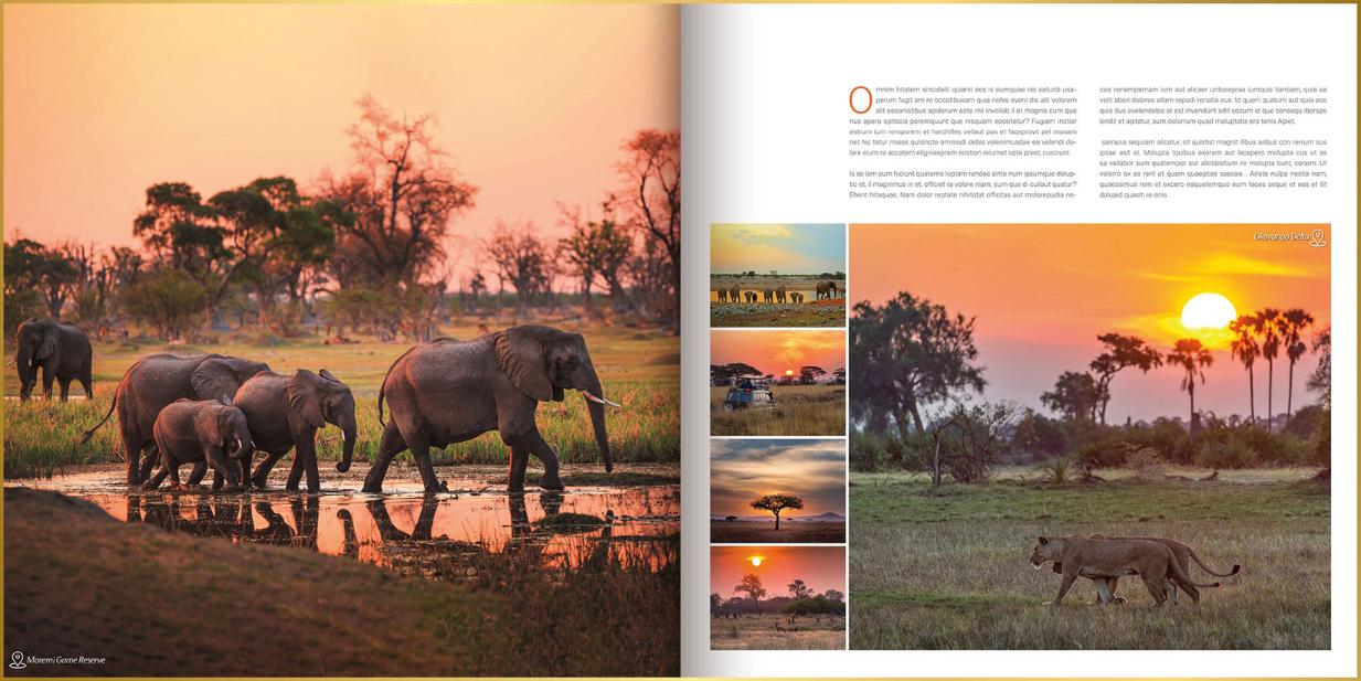 Fotoboek moderne stijl met tekst en foto's van olifanten, gnoes, zebra's, leeuw en zonsondergangen in Botswana