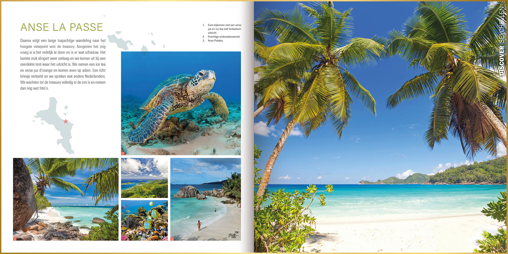 Voorbeeld ontwerpstijl magazine met foto's van zeeschildpad, kleurrijke vissen en wuivende palmbomen bij tropisch strand