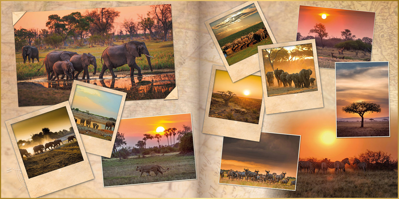 Fotoboek in ontwerpstijl uniek met foto's van olifanten, leeuwen, gnoe's wilde honden en mooie zonsondergangen in Botswana