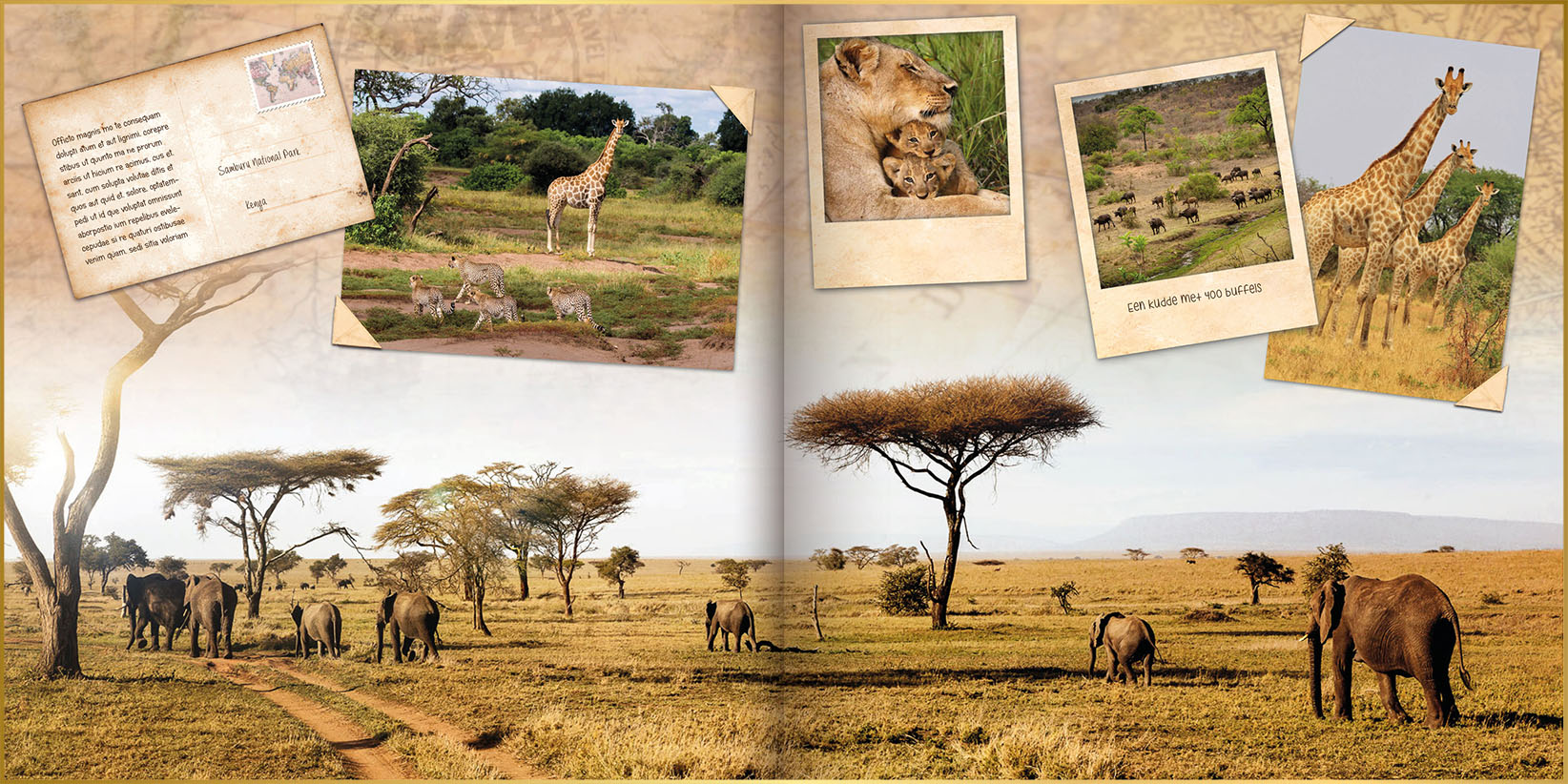 Fotoboek in ontwerpstijl uniek met anzichtkaart, panoramafoto met olifanten en polaroids met leeuwen, buffels en giraffen.