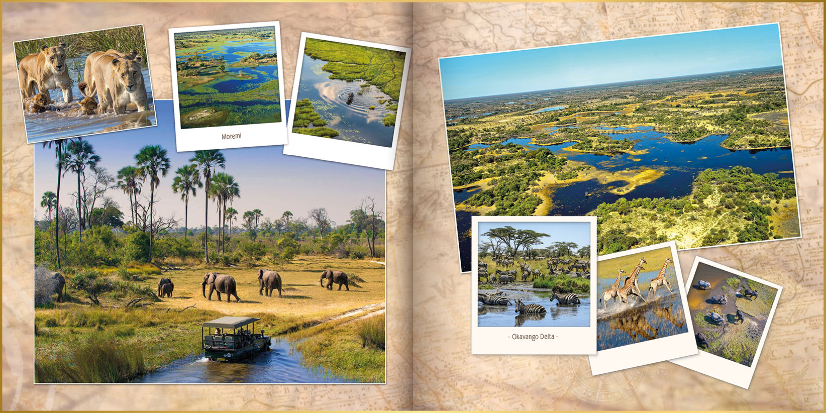 Fotoboek in ontwerpstijl uniek met foto's van giraffen, olifanten leeuwen en zebra's in de Okavango Delta