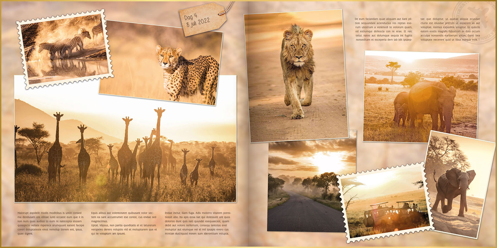 Fotoboek in ontwerpstijl uniek met foto's van olifanten, giraffengroep, zebra's cheeta en leeuw en tekst in Zuid-Afrika
