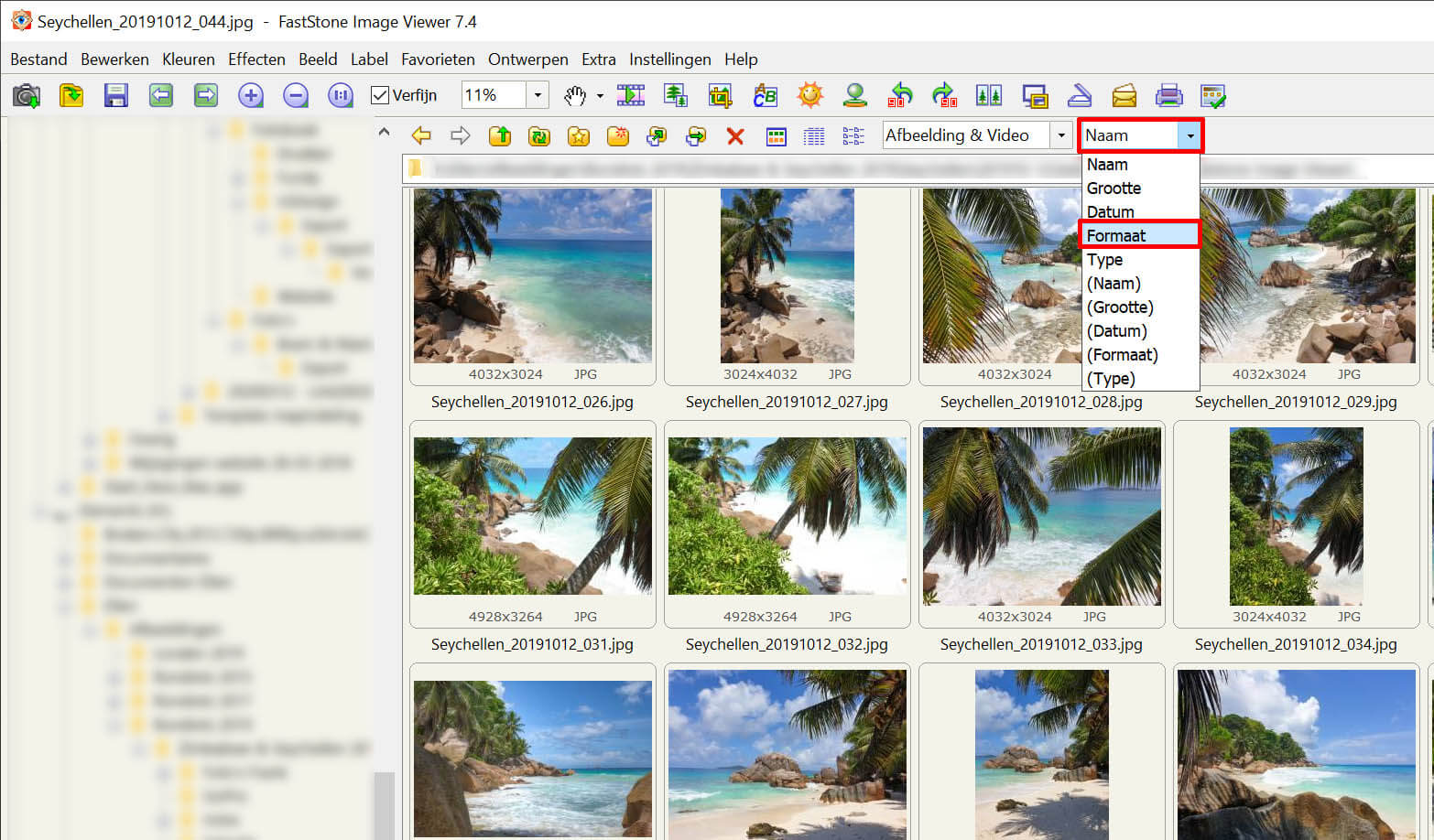 Uitleg hoe je kunt sorteren op Formaat in FastStone Image Viewer