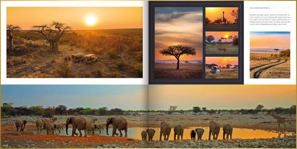Fotoboek in ontwerpstijl Square met foto's van olifanten bij waterplas, giraf, safarivoertuig en uitzichten over savanne in Namibië.
