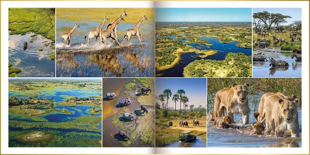 Fotoboek in moderne stijl met foto's van giraffen, zebra's, olifanten en leeuwen in het water van de Okavango Delta