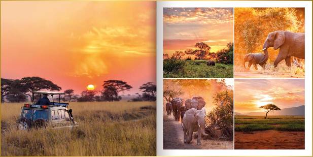 Fotoboek in ontwerpstijl Basic met foto's van safarivoertuig, olifantengroep, neushoorn en een babyolifant.