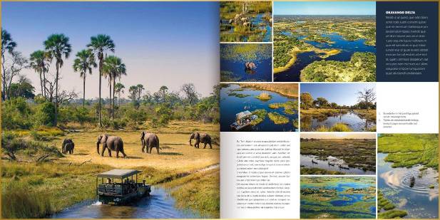 Fotoboek in Magazine ontwerpstijl met foto's van olifanten, palmbomen, en water in de okavango delta in Botswana