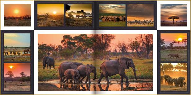 Fotoboek in ontwerpstijl Square met foto's van olifanten bij waterplas, leeuw, zebra's en uitzichten over savanne in Namibië.